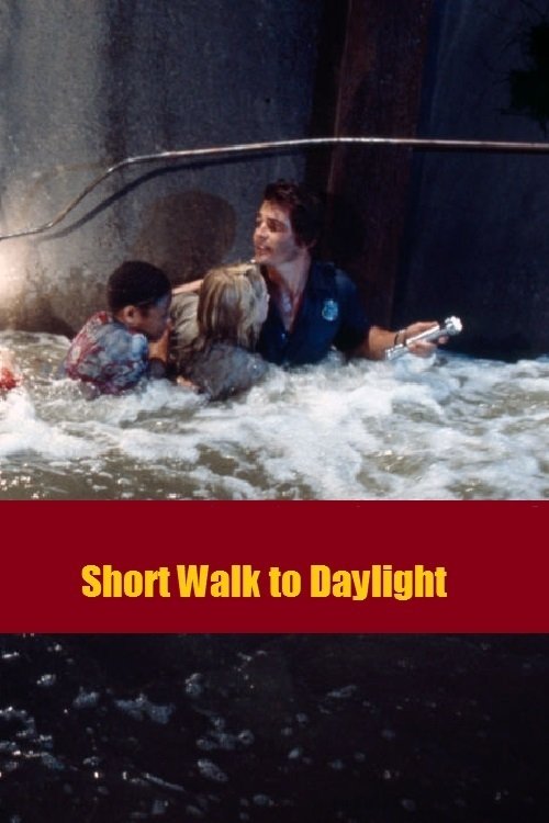 Постер Short Walk to Daylight